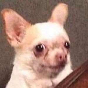 Meet your Posher, Bryan